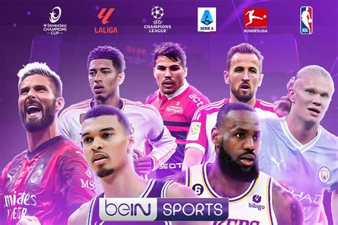 chaine bein sfr|beIN SPORTS avec SFR : chaînes, prix, accès,。